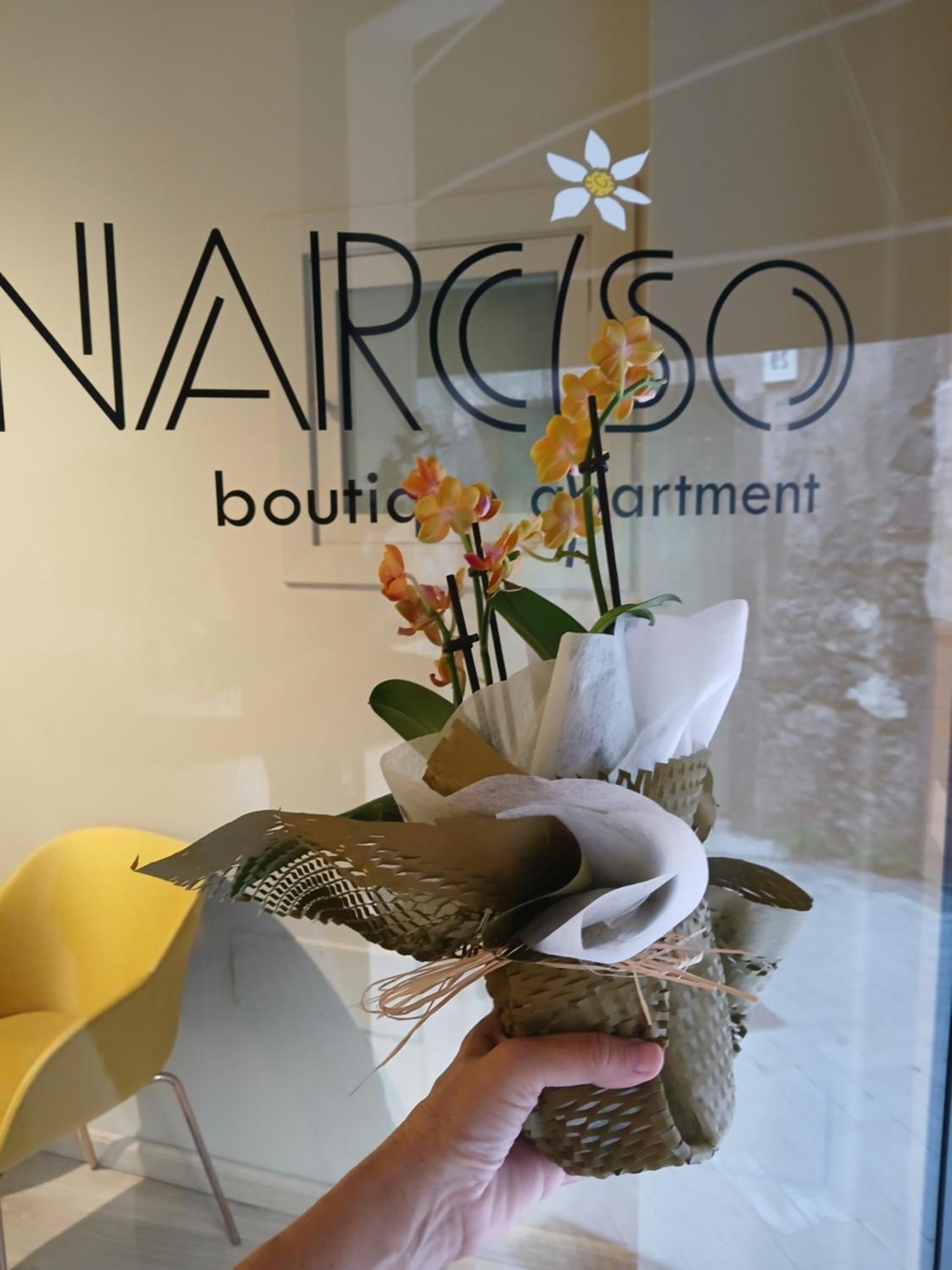 Narciso Boutique Apartment อาชิเรอาเล ภายนอก รูปภาพ